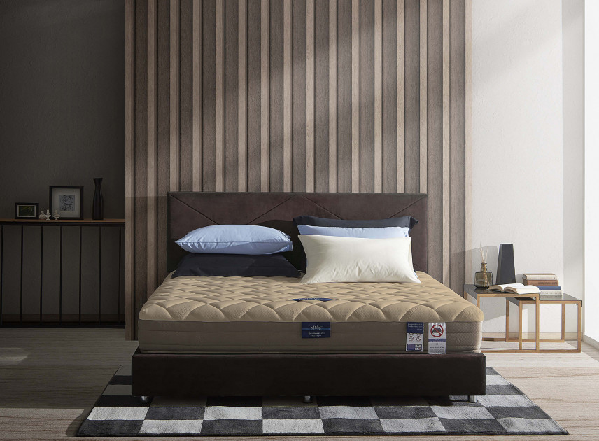 0 Interest With Monthly Installment Payment Plan Midas Bedding Thailand